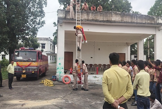 Image Here