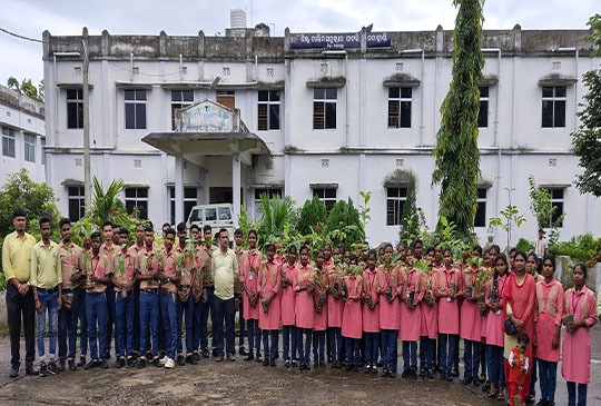 Image Here